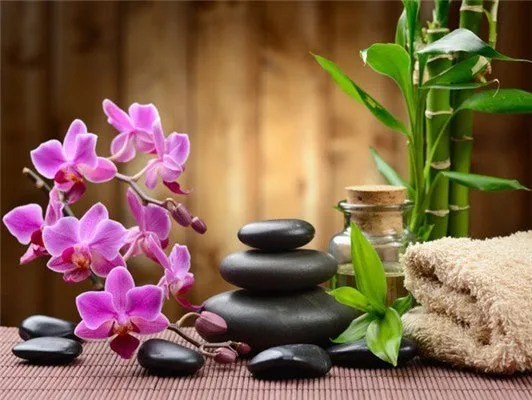 5D Diy Diamond Painting Kit,  Orchids & Stones, Full Square Diamond