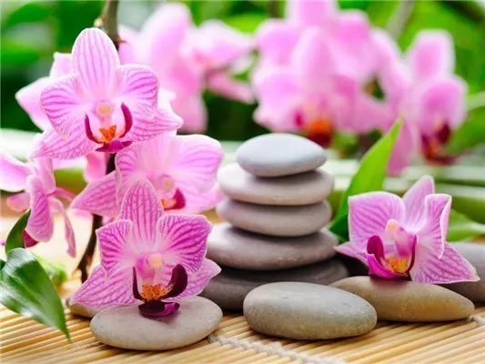 5D Diy Diamond Painting Kit,  Orchids & Stones, Full Square Diamond