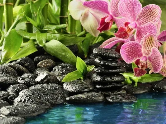 5D Diy Diamond Painting Kit,  Orchids & Stones, Full Square Diamond