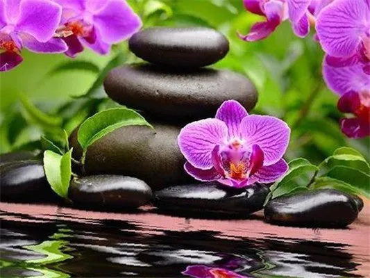5D Diy Diamond Painting Kit,  Orchids & Stones, Full Square Diamond