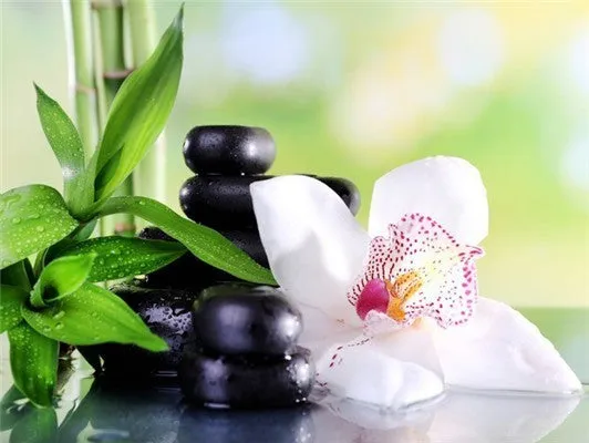 5D Diy Diamond Painting Kit,  Orchids & Stones, Full Square Diamond