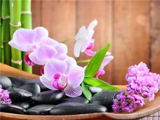 5D Diy Diamond Painting Kit,  Orchids & Stones, Full Square Diamond