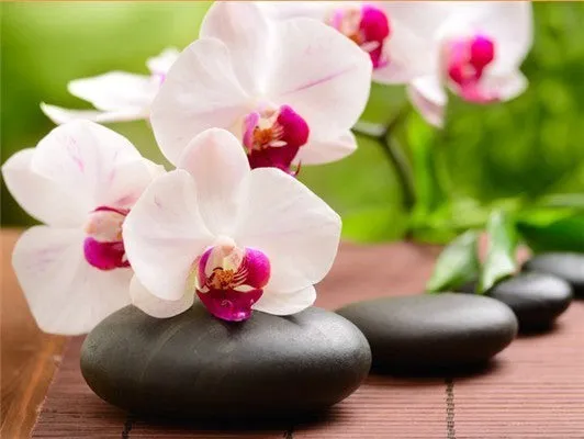 5D Diy Diamond Painting Kit,  Orchids & Stones, Full Square Diamond