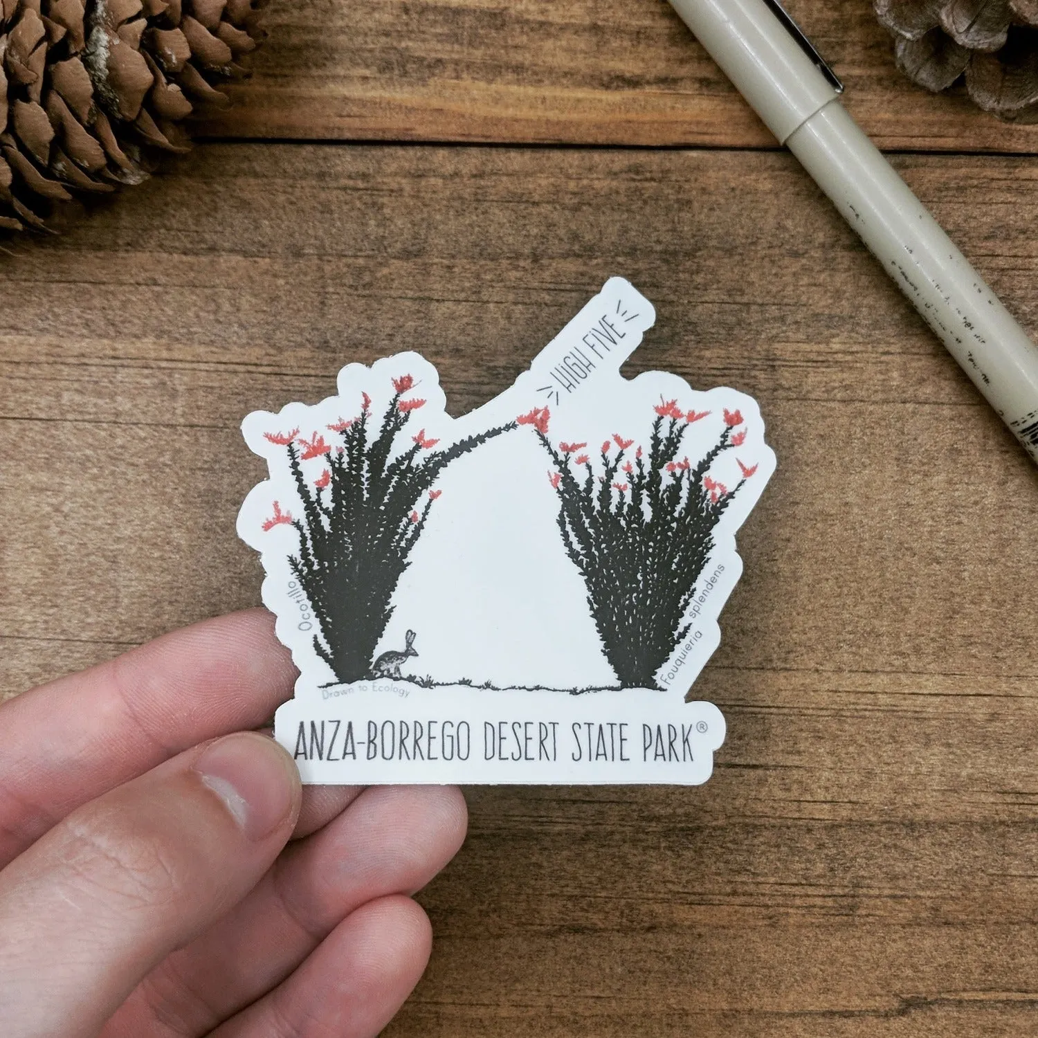 Anza-Borrego 'Hi Five' Ocotillo Sticker