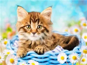 Basket Kitten | DIY Animal Diamond Painting Kit | Full Round/Square Drill Rhinestone Embroidery | Playful Kitten Portrait