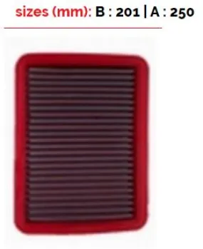 BMC FB209/04 AIR FILTER 201X250