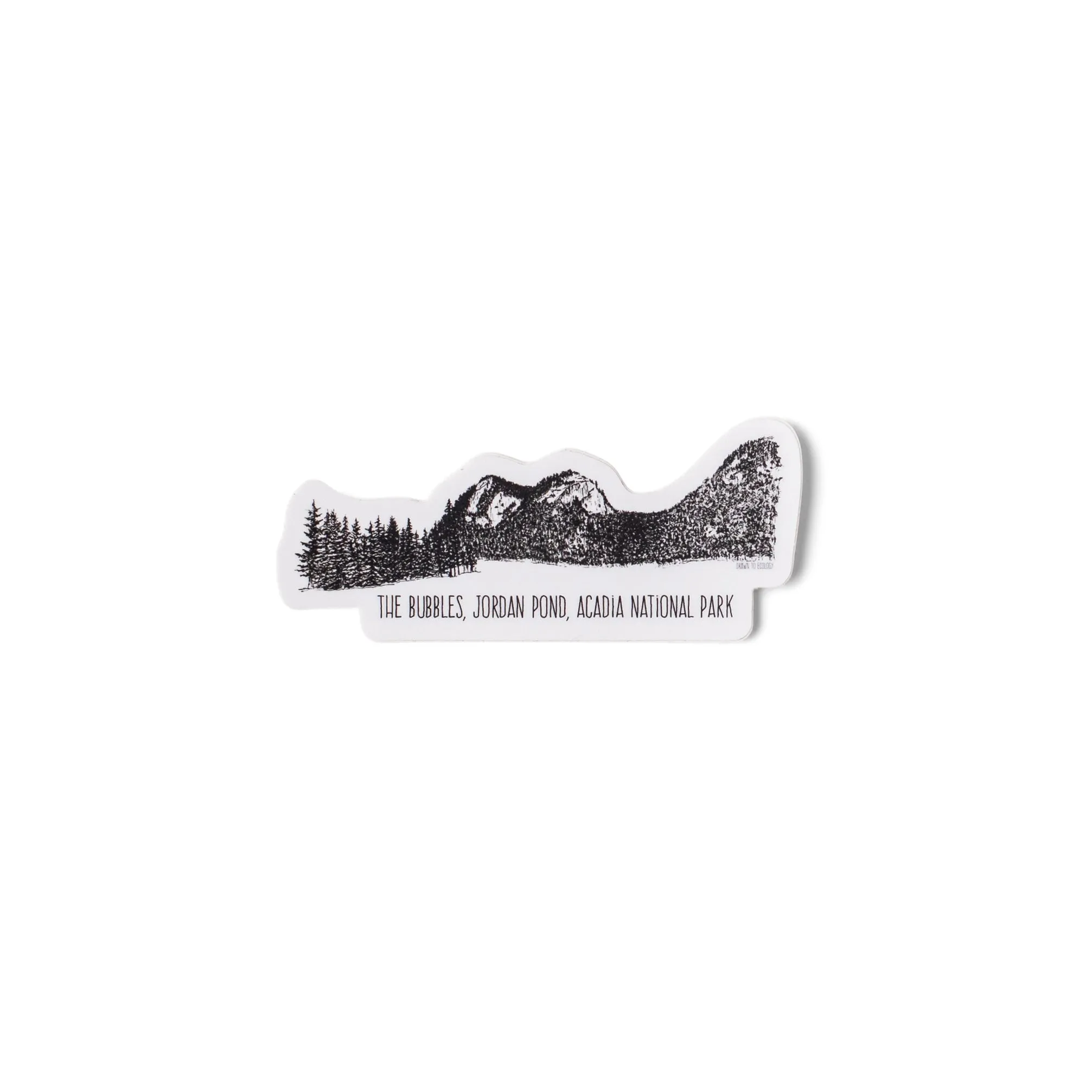 Bubbles, Acadia National Park Ink Sticker