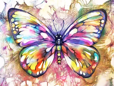 Colorful Butterfly, Diamond Painting