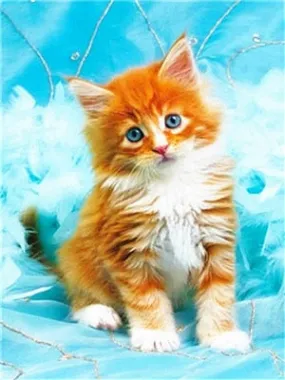 Cute Kitty | DIY Animal Diamond Painting Kit | Full Round/Square Drill Rhinestone Embroidery | Playful Kitten Portrait