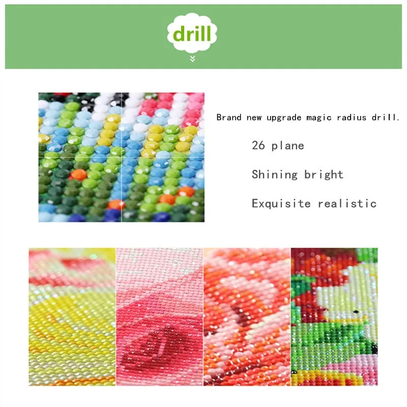 DIY Floral Diamond Painting Kits | Full Round 5D Diamonds | Flower Portrait | Sunflower Daisy Butterfly Bird