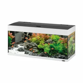 Dubai 100 Led Aqu. White