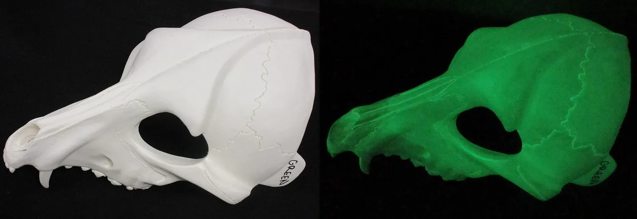 Glow in the Dark Skeletal K9 Upper Jaw Mask