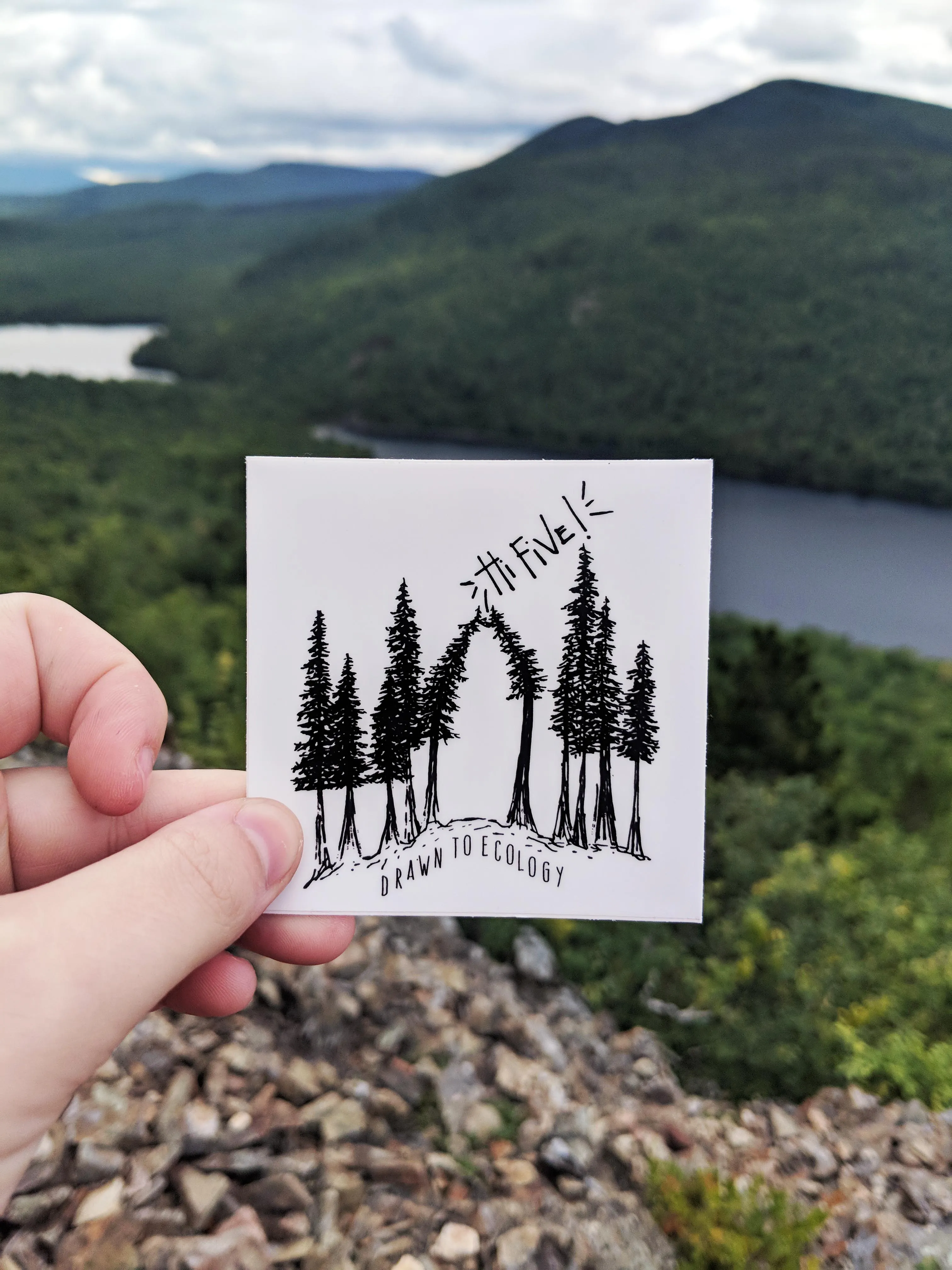 'Hi Five' Tree Sticker