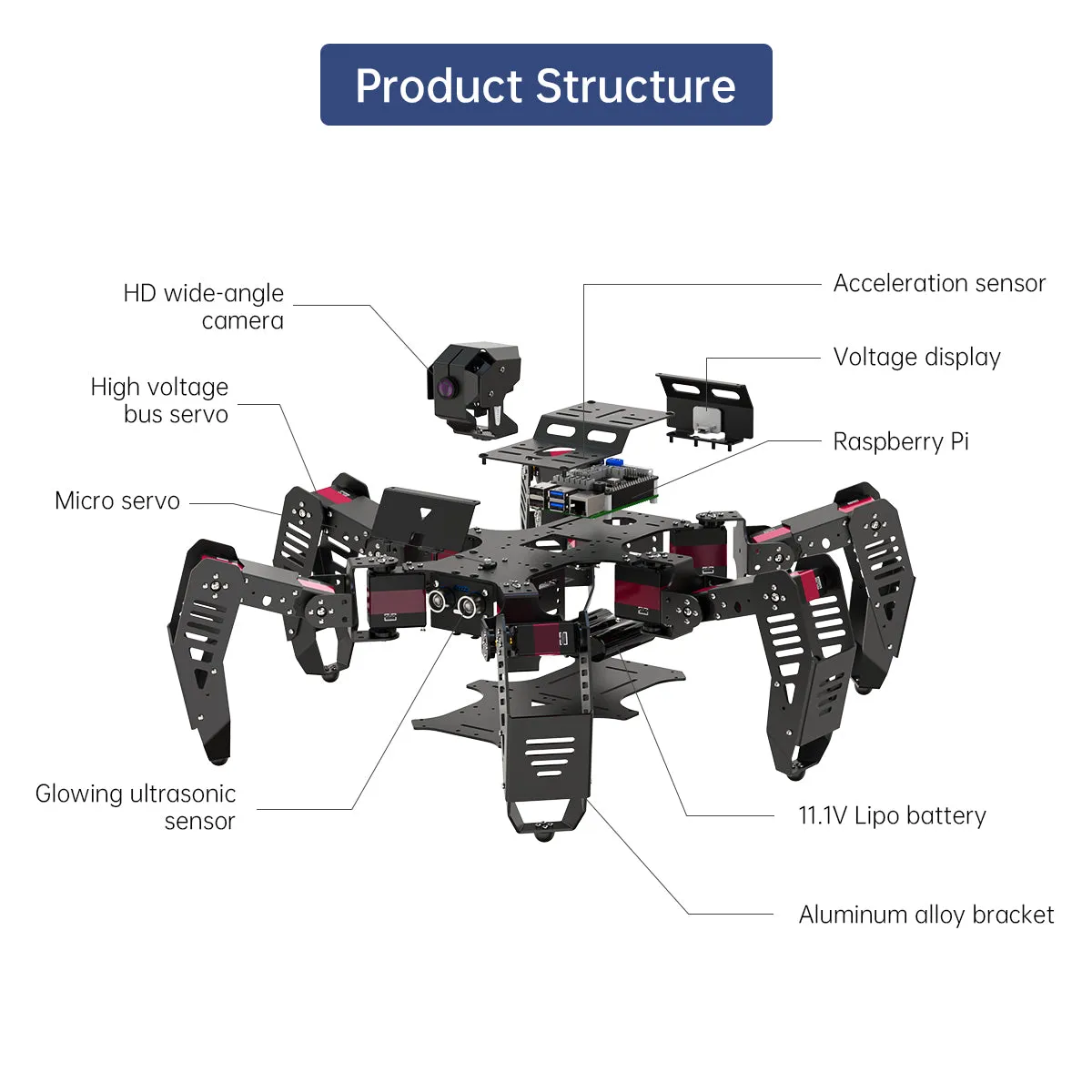 Hiwonder SpiderPi: AI Intelligent Visual Hexapod Robot Powered by Raspberry Pi 5