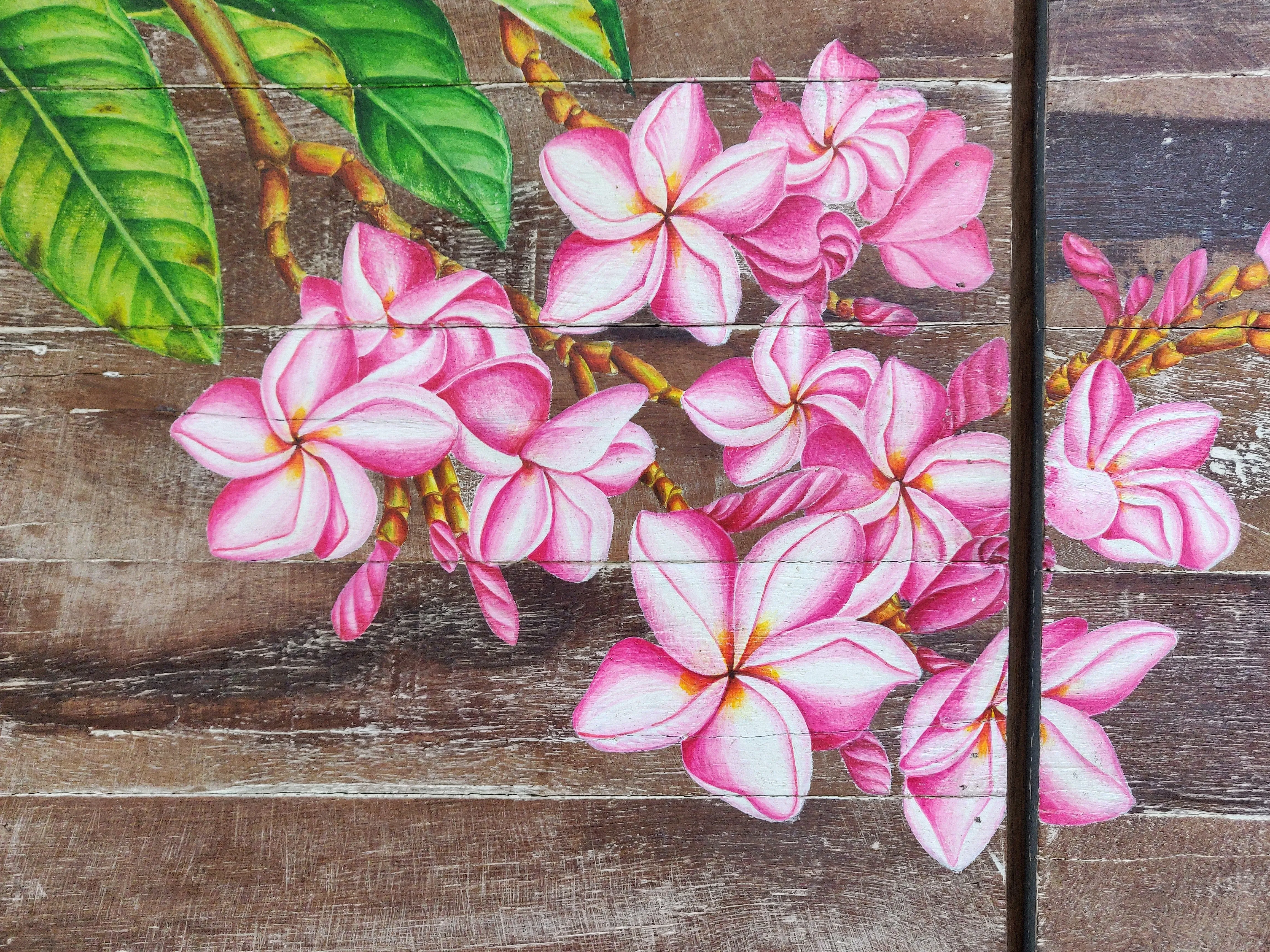 Home Decor: EXQUISITE WALL HANGING DECOR: Beautiful Hand Painted Frangipani Flowers on a pair of Wooden panels.