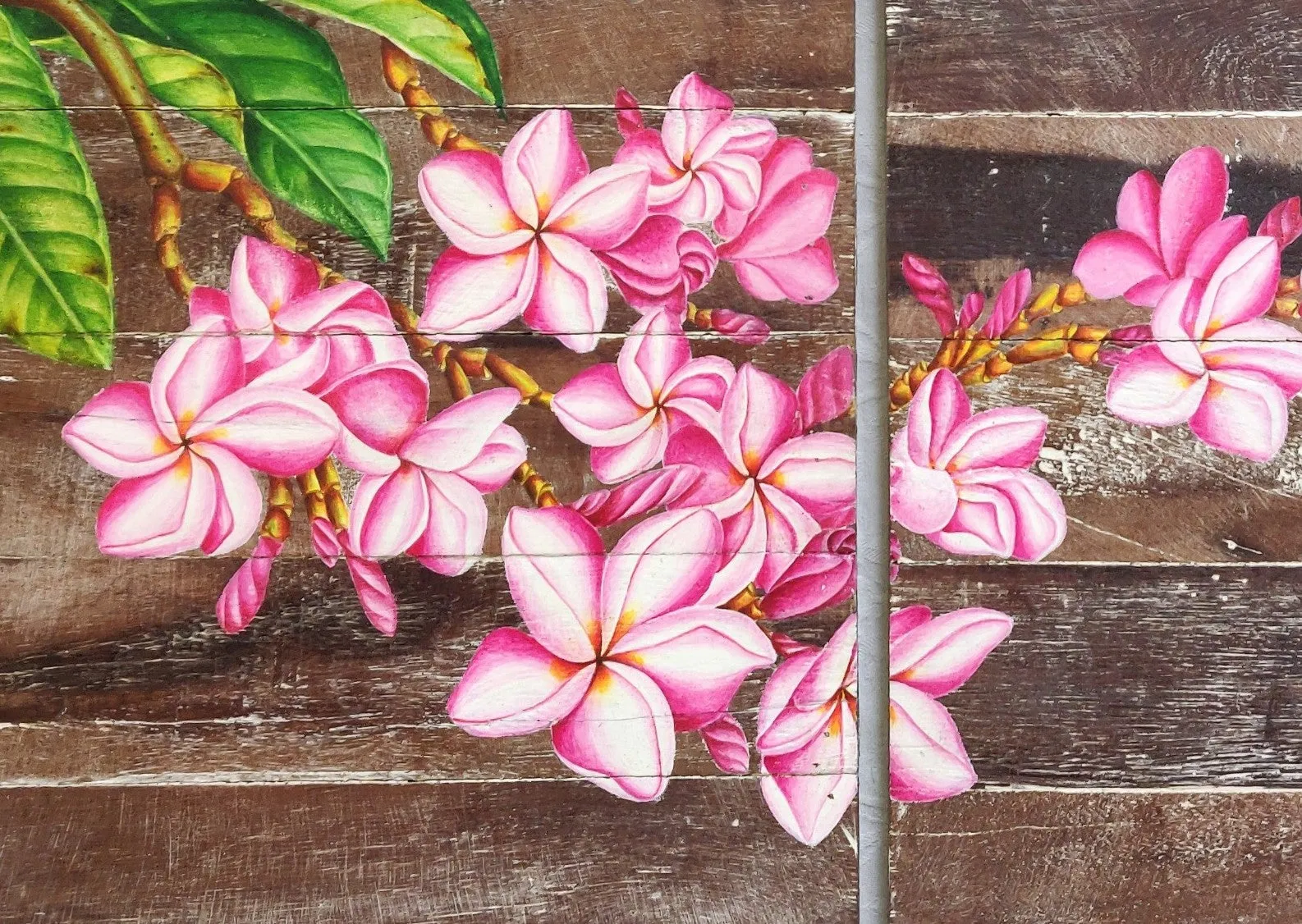 Home Decor: EXQUISITE WALL HANGING DECOR: Beautiful Hand Painted Frangipani Flowers on a pair of Wooden panels.
