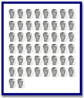 Maxisafe Disposable Clear Faceshield (Carton - 50 pcs)