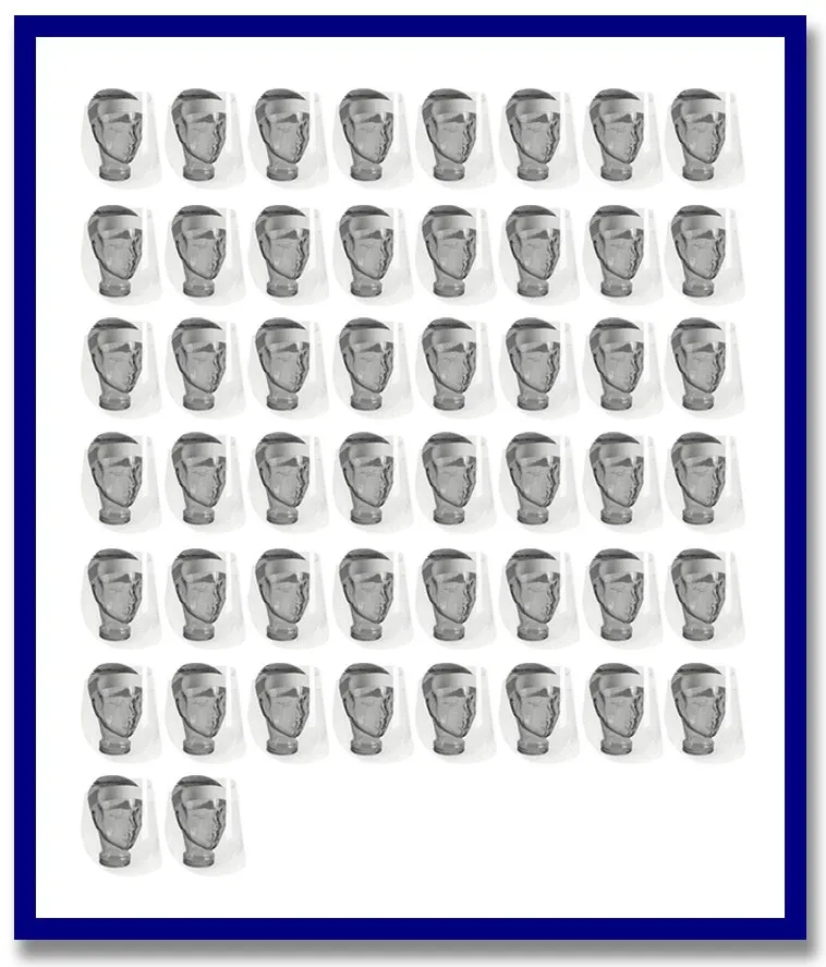 Maxisafe Disposable Clear Faceshield (Carton - 50 pcs)