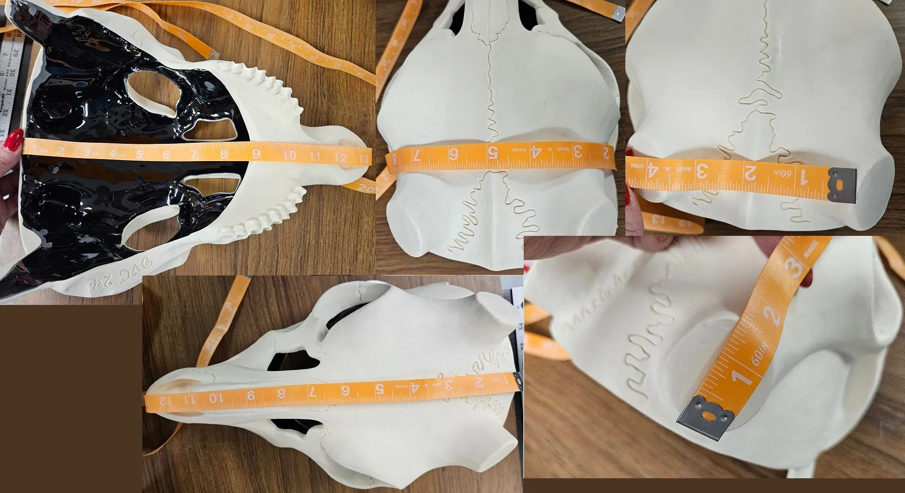 Skeletal Deer Upper Jaw Mask