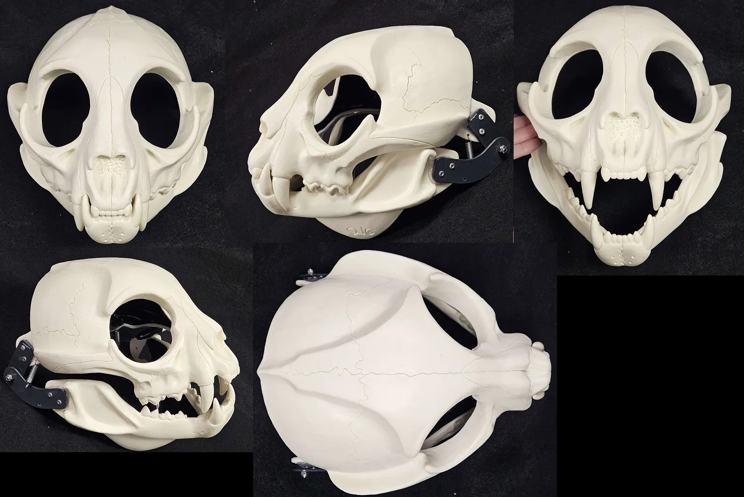 Skeletal Feline Cut and Hinged Mask