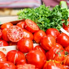 Tomato - VR Moscow (Determinate)