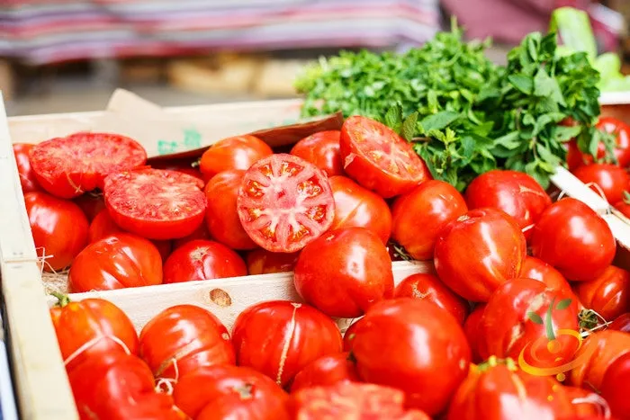 Tomato - VR Moscow (Determinate)
